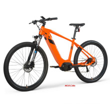 EU Warehouse Mountain Electric Bike